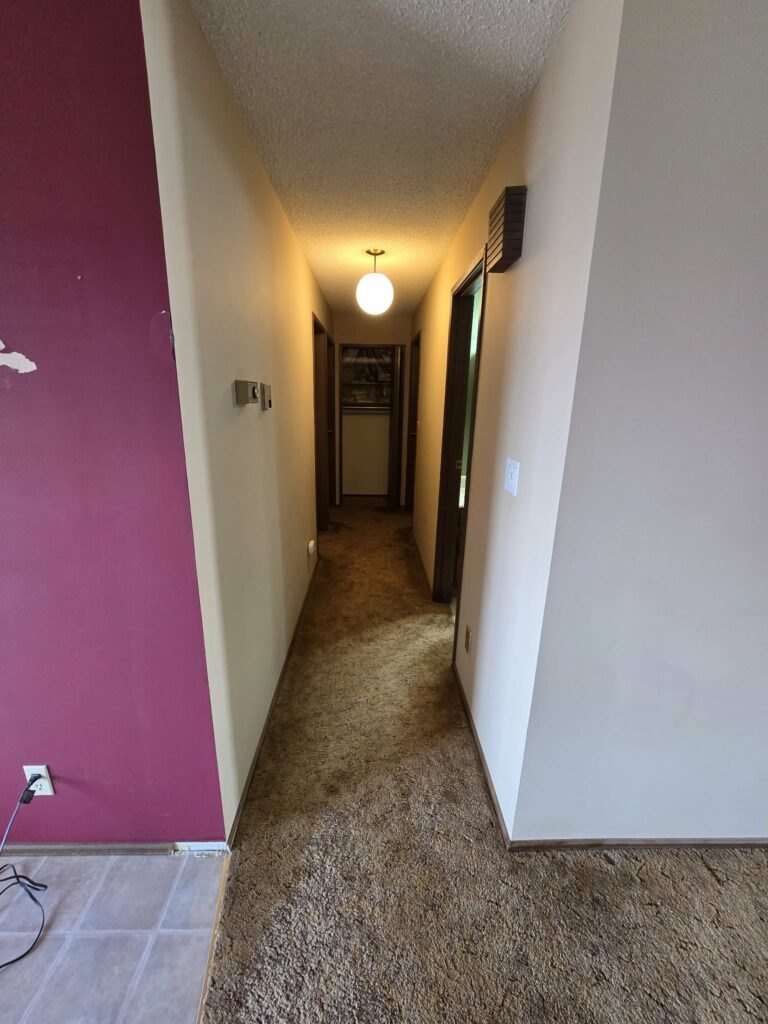 Hallway baseline view with older carpet, dark doors and trim
