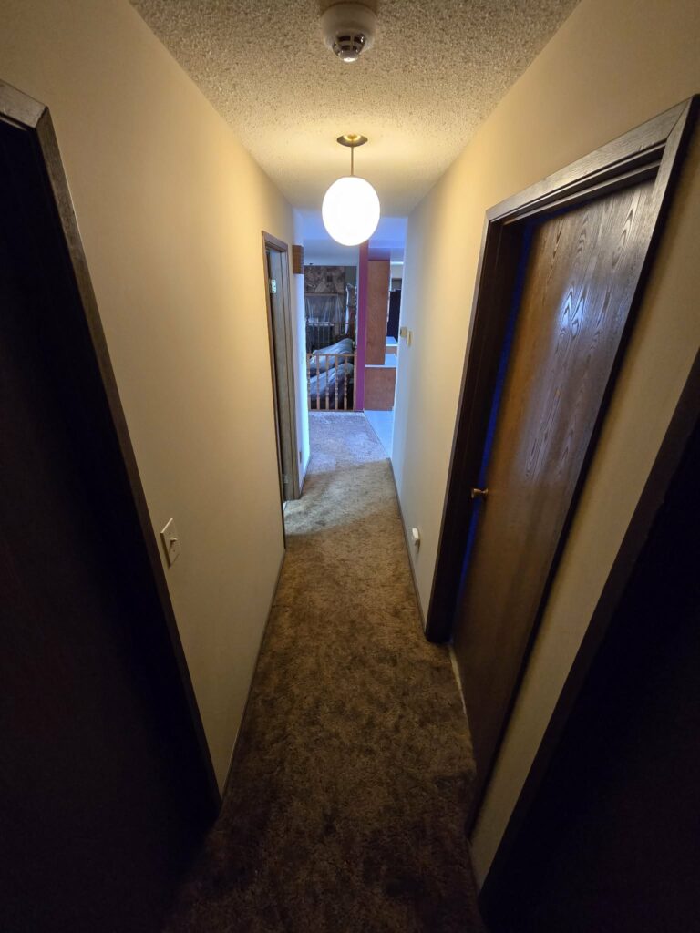 Reverse hallway baseline view with older carpet and dark doors